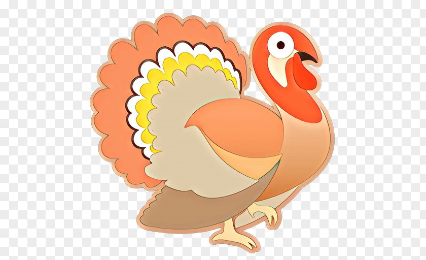 Turkey Chicken Cartoon Clip Art Bird Beak PNG