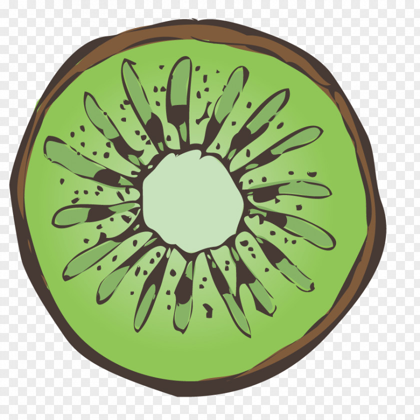Vector Kiwi Fruit Smoothie PNG