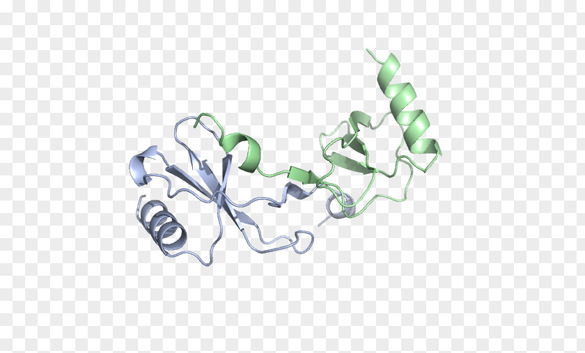 CCL2 Chemokine Lewis Structure Monocyte Chemotaxis PNG
