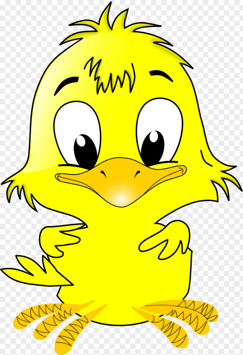 Chick Drawing Clip Art PNG