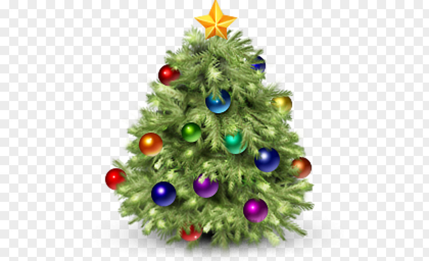 Christmas Tree A Cup Of Tea PNG
