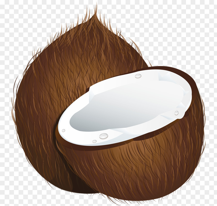 Coconut Clip Art PNG