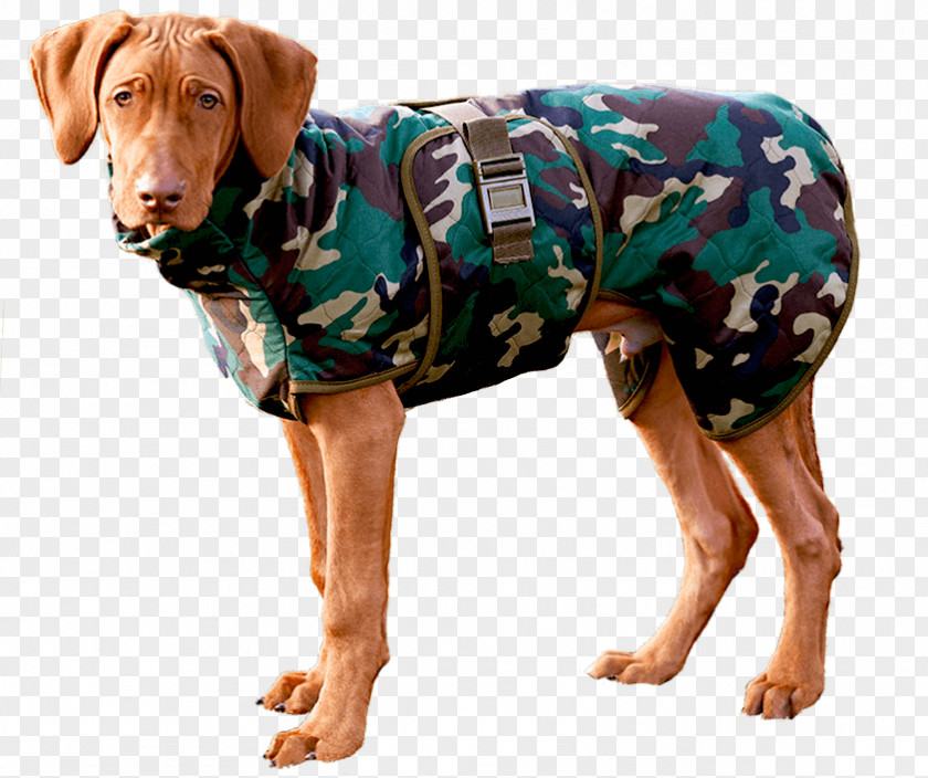 Dog Breed Robe Clothing Clothes PNG