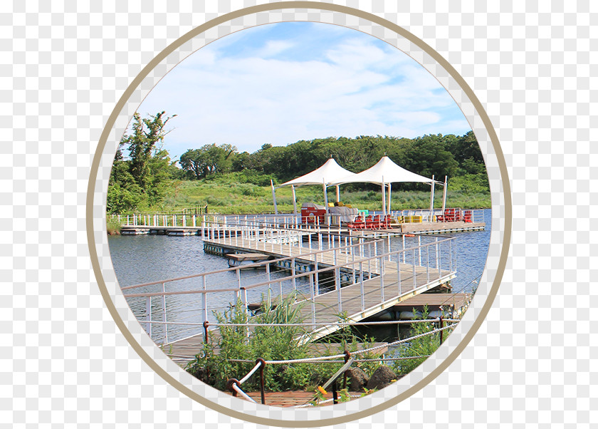 Ecological Park Ecoland Theme Amusement Recreation Lake Leisure PNG