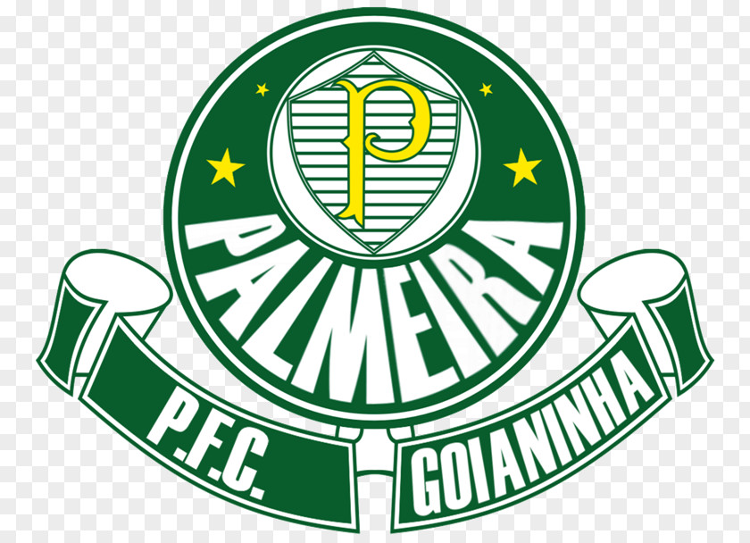 Football Sociedade Esportiva Palmeiras Campeonato Brasileiro Série A Sports Association Paulista PNG