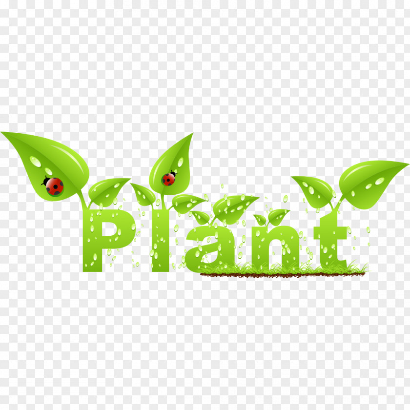 Grow Leaves English Word Vector Leaf Euclidean Ladybird Ecology PNG