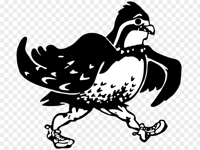 Quail Phasianidae Chicken Bird Logo PNG