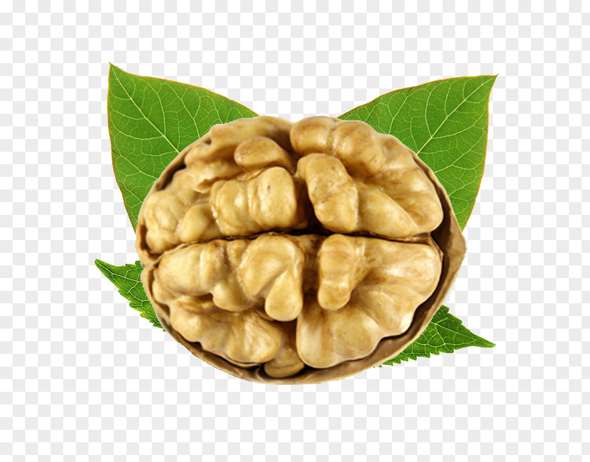 A Walnut Junk Food Dried Fruit PNG