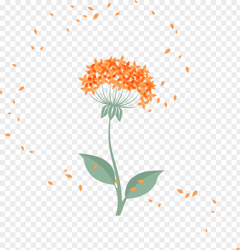 Cartoon Vector Dandelion Flower Petal Floral Design Euclidean PNG