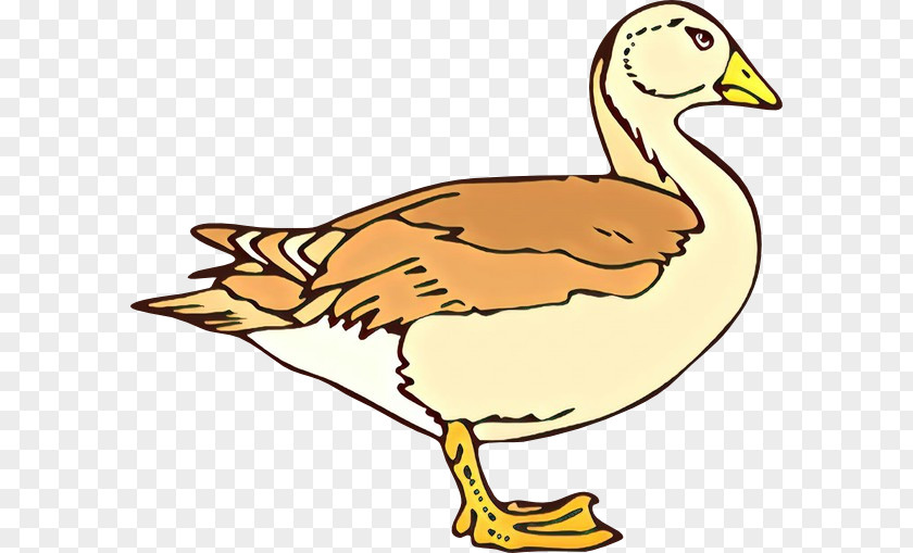 Duck Goose Clip Art Fowl Fauna PNG
