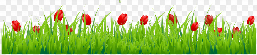 Grass With Red Tulips Clipart Tulip Flower Stock Photography Clip Art PNG