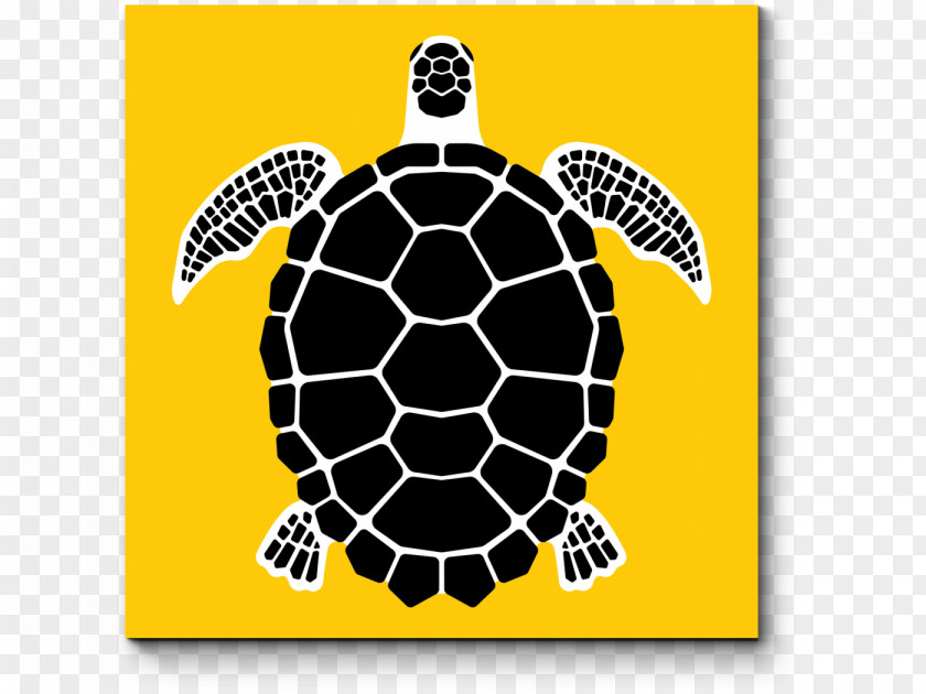 Turtle Loggerhead Sea Green PNG