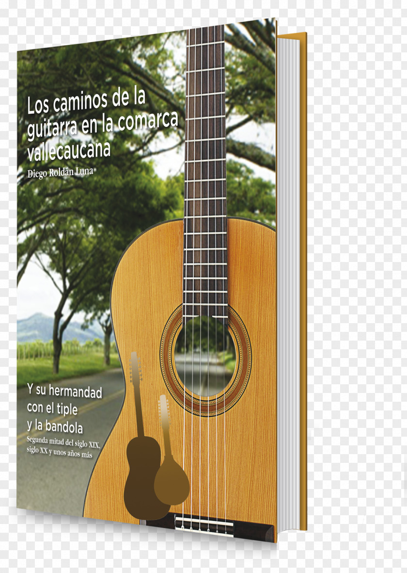 Acoustic Guitar Tiple Ukulele Cuatro PNG