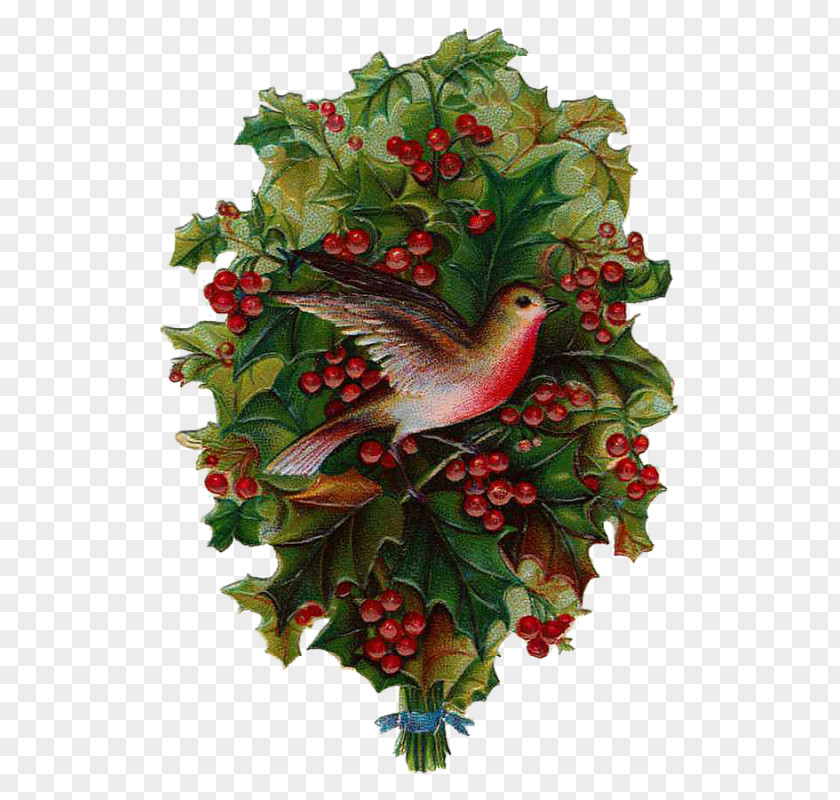 Christmas Tree Day Clip Art A Carol Santa Claus PNG