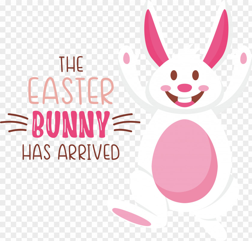 Easter Bunny PNG