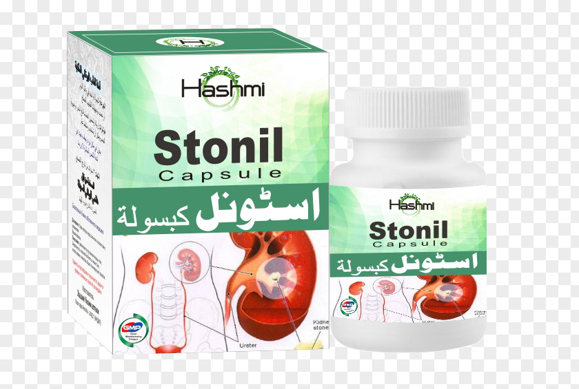 Health Kidney Stone Ayurveda Pharmaceutical Drug Medicine PNG