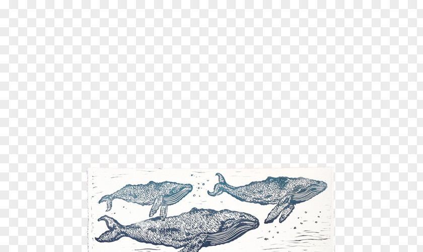 Whale Marine Mammal Dolphin Wind Wave Drawing PNG