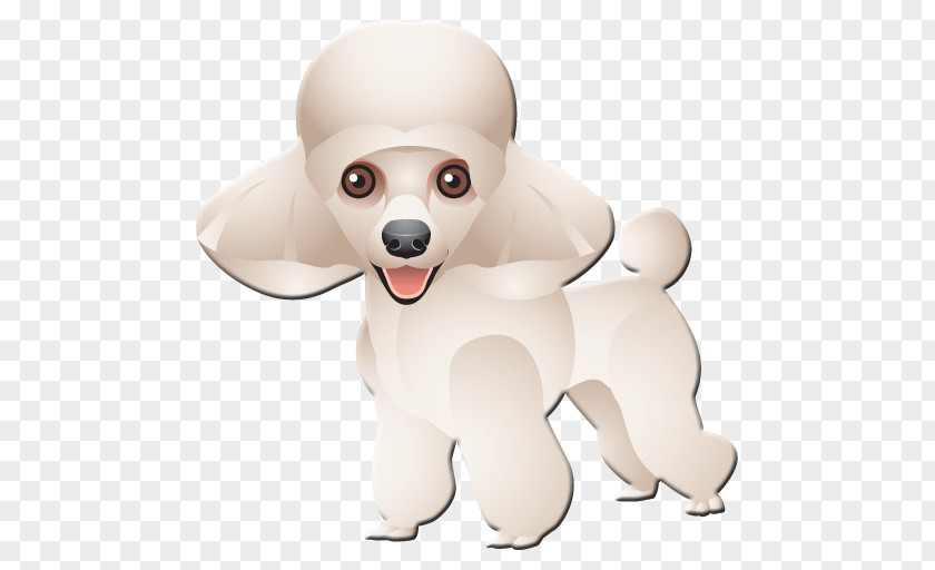 Cute Puppy Toy Poodle Maltese Dog Miniature PNG