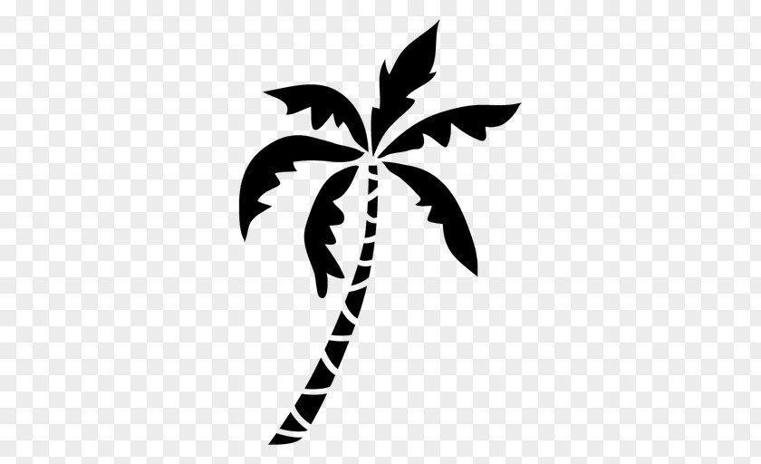 Mangrove Tree Vector Arecaceae Silhouette PNG