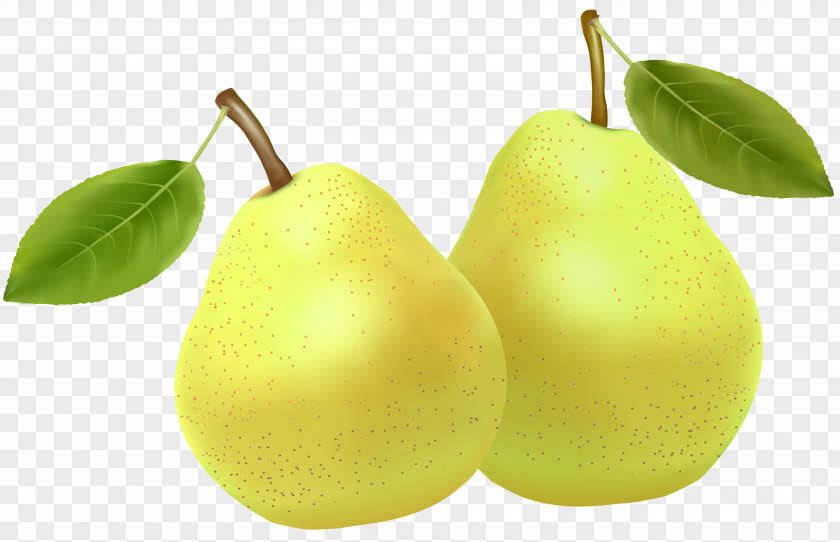 Pear Fruit Clipping Path Clip Art PNG