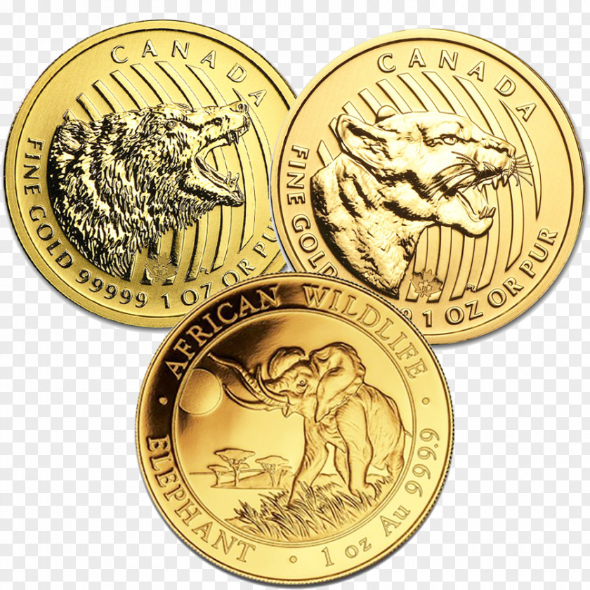 American Gold Coins Coin Bullion Proof Coinage PNG