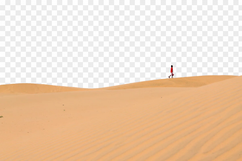Dune Singing Sand Meter Ecoregion PNG