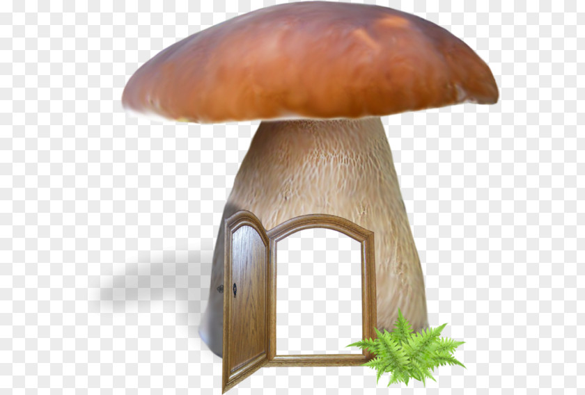 Mushroom Edible Fungus Common PNG