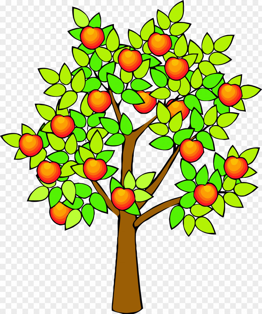 Spring Green Drawing Fruit Tree Clip Art Apple Image PNG
