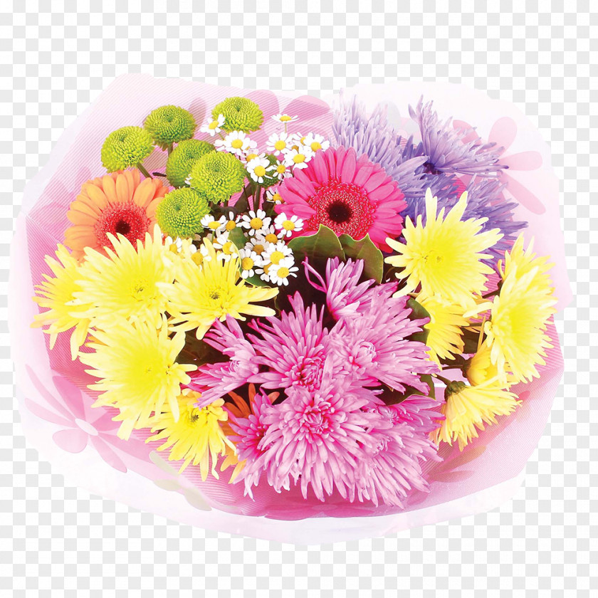Mother's Day Cut Flowers Floral Design Floristry Transvaal Daisy PNG