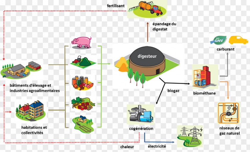 Cultures Chambre D Agriculture Anaerobic Digestion Natural Gas Biogas PNG