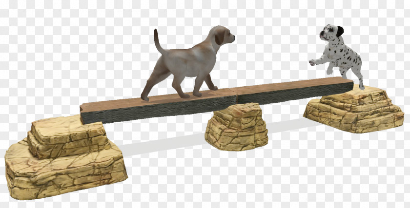 Dog Jump Balance Beam Pet Park PNG