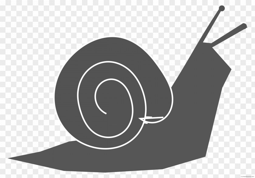Snail Clip Art Slug Drawing Favicon PNG