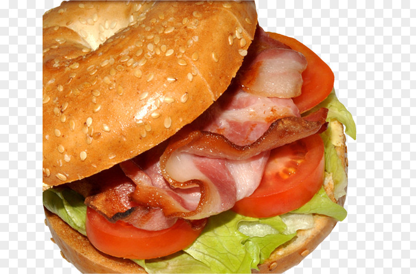 Egg Sandwich Hamburger Breakfast Fast Food Cheeseburger Ham And Cheese PNG