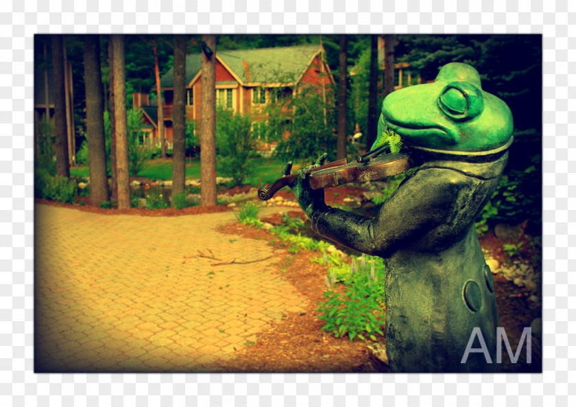 Frog Art Tree PNG