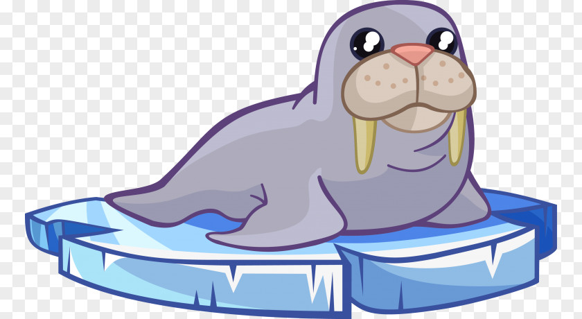 Walrus Earless Seal Clip Art PNG