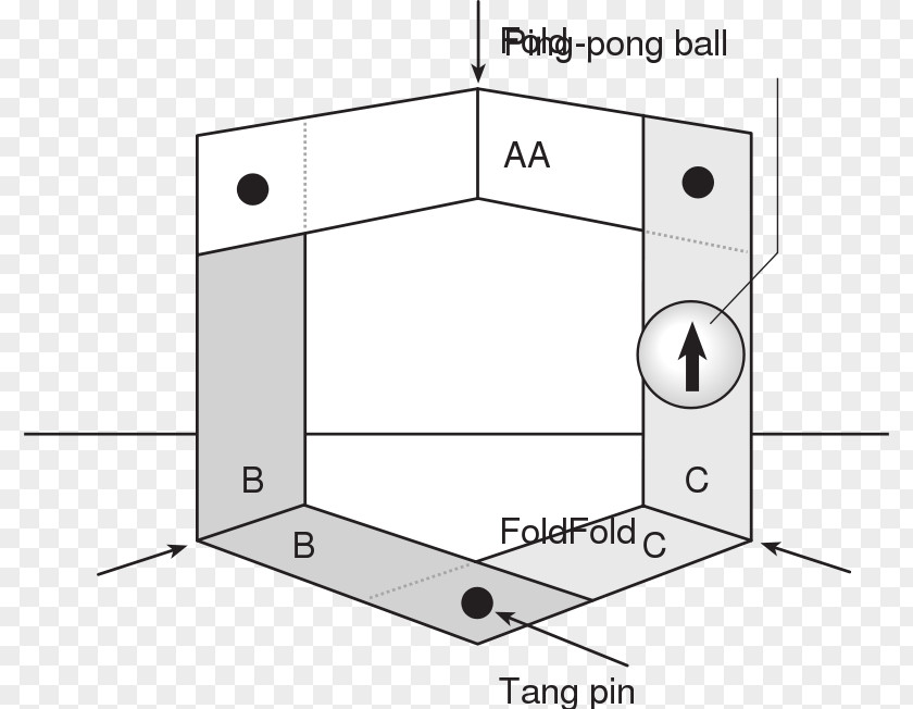 3d Brain Diagram Stairs PNG