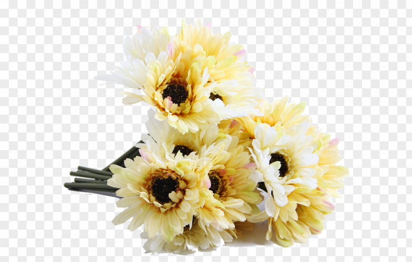 Chrysanthemum Floral Design Flower PNG