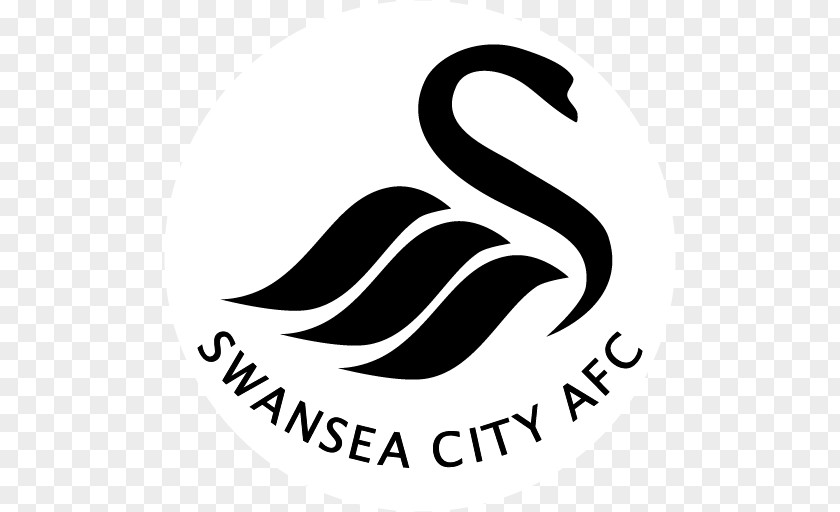 Football Swansea City A.F.C. EFL Cup 2017–18 Premier League PNG
