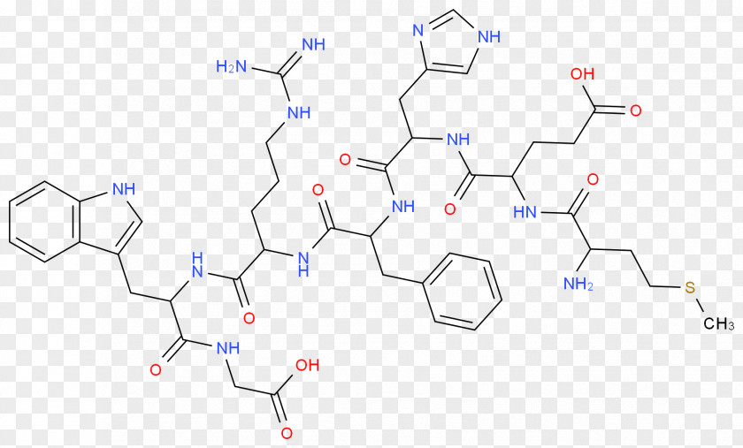 Growth Hormone Molecular Structure Amine Organic Chemistry Acid Chemical Reaction PNG