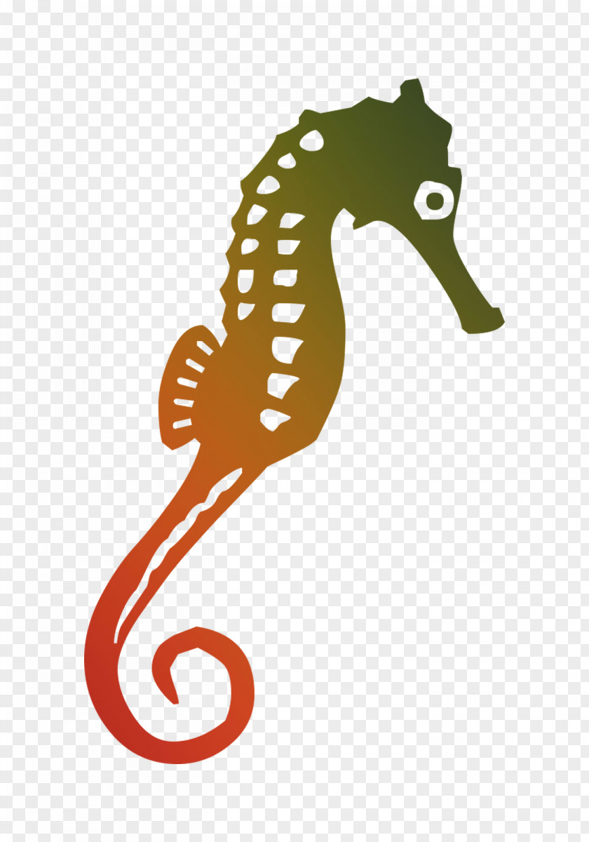 Seahorse Clip Art Graphics Image Illustration PNG