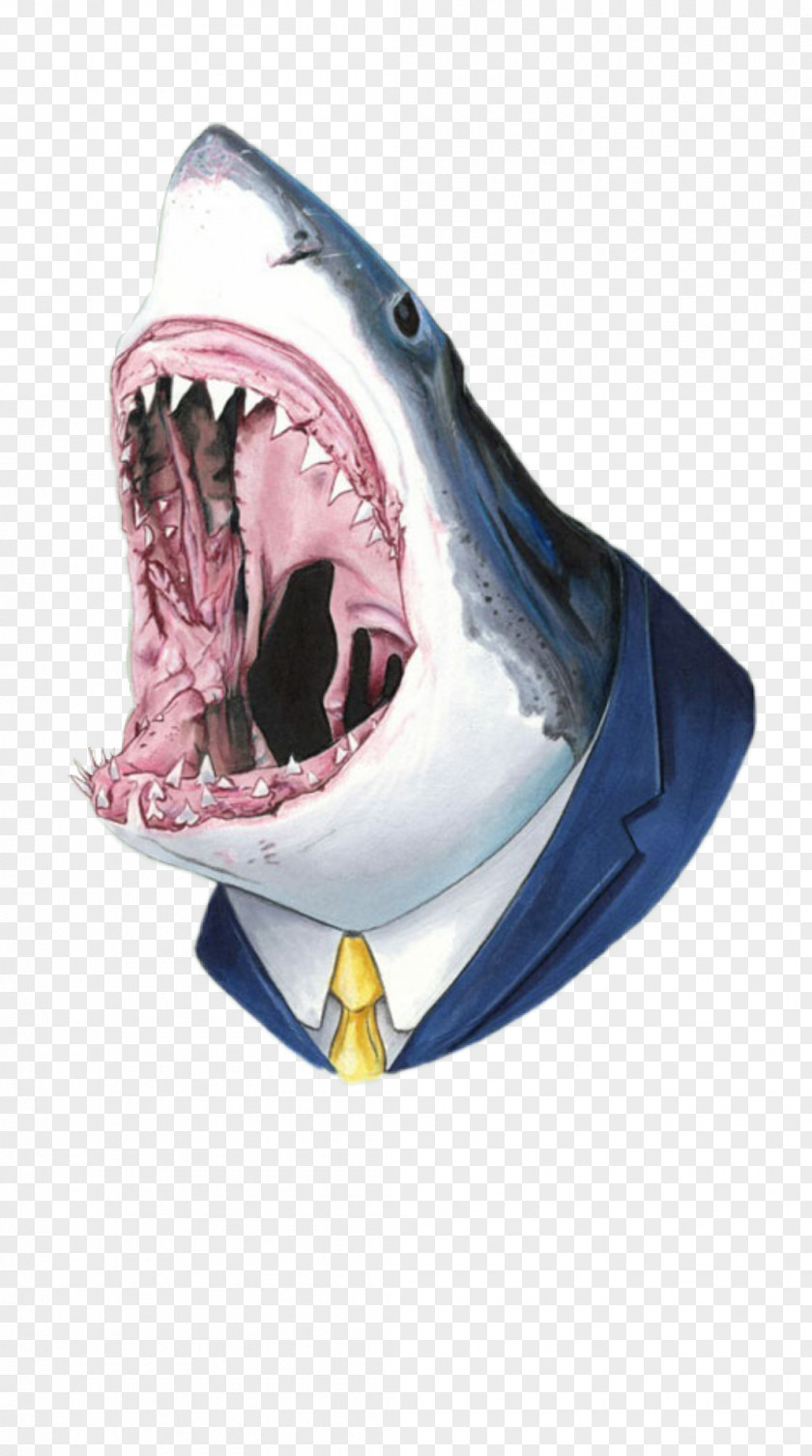 Shark Attack Great White Tooth Drawing PNG