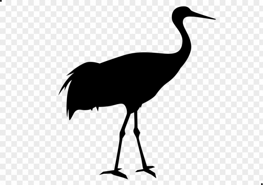 Silhouette Wildlife Crane Bird PNG