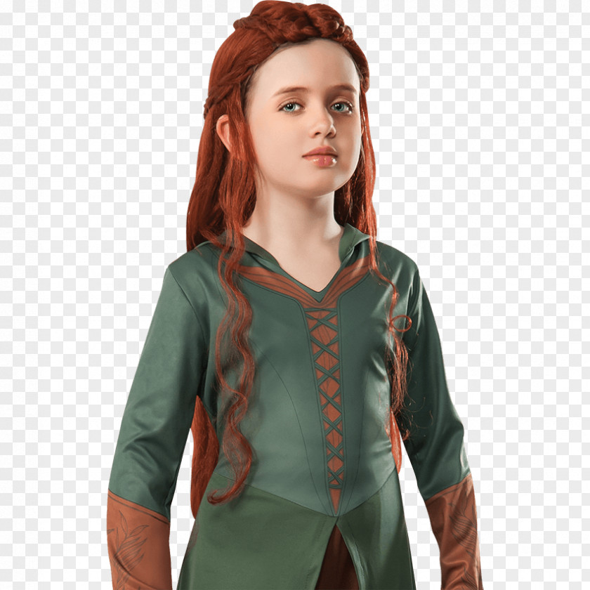 Tauriel The Desolation Of Smaug Galadriel Costume Hobbit PNG