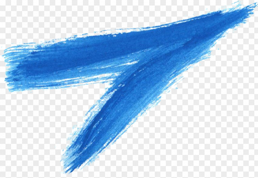 Blue Watercolor Brush Painting Porpoise PNG