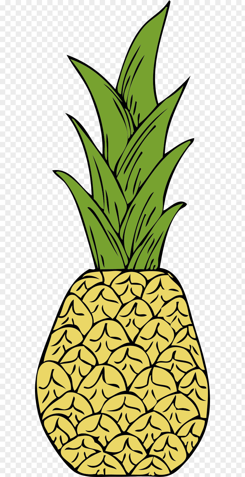 Pinapple Pineapple Food Clip Art PNG