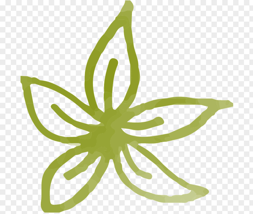 Clip Art Plant Stem Product Design Leaf Line PNG