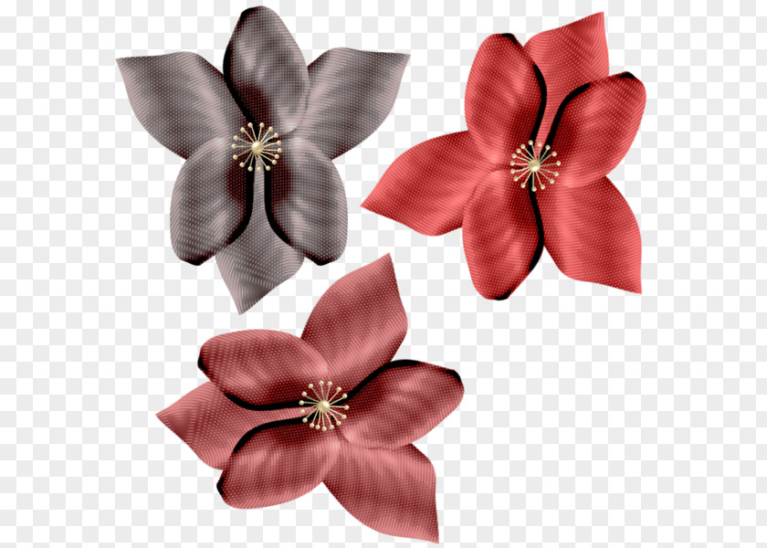 Desin Element Flower Painting Blume Petal Photograph PNG