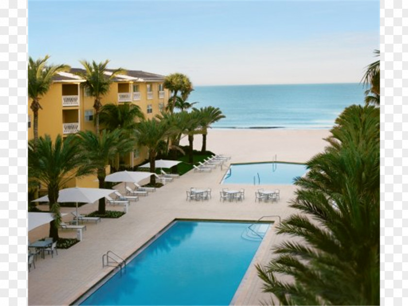 Hotel Edgewater Beach Resort Fort Myers PNG