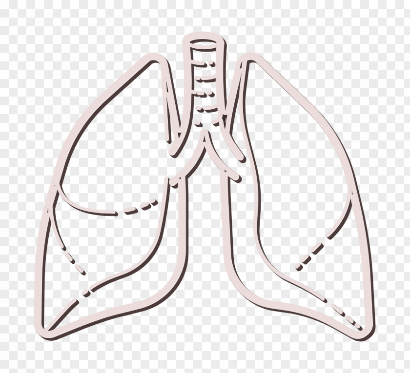 Human Anatomy Icon Lungs Lung PNG