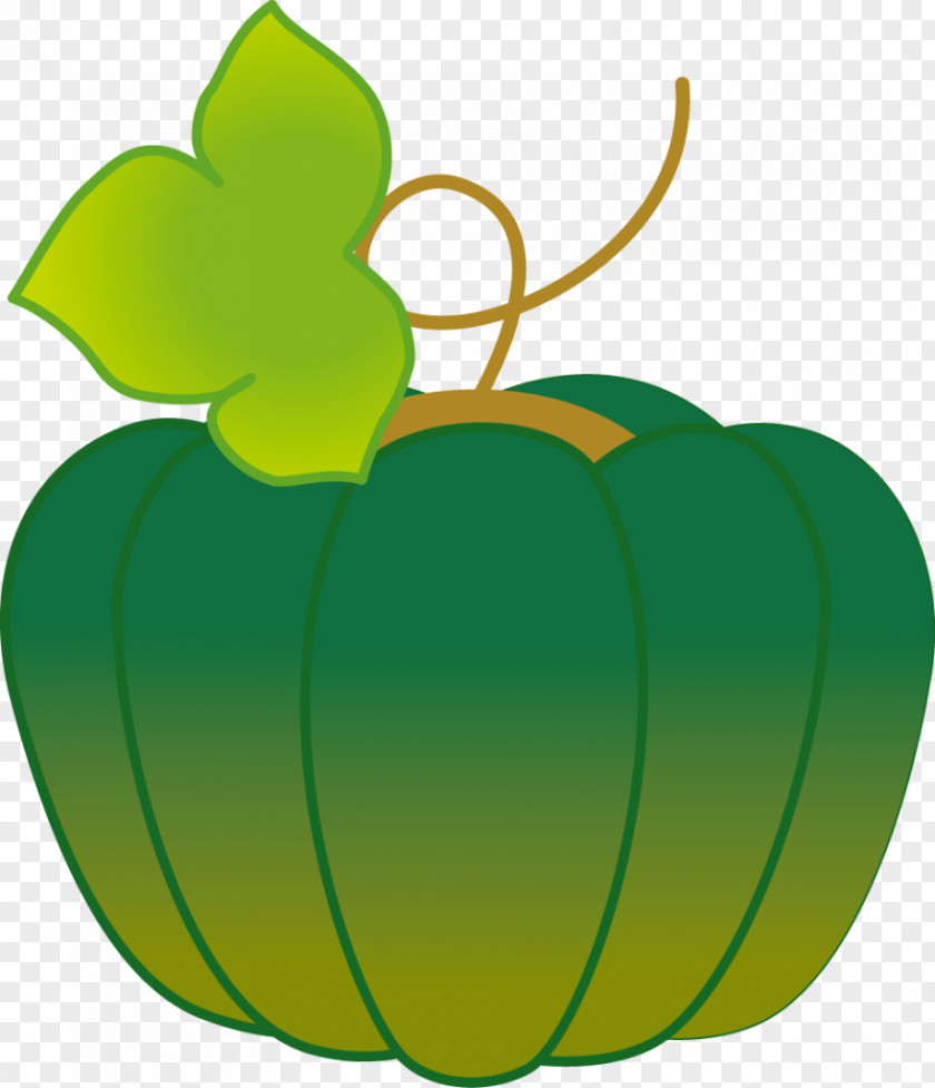 Kabocha Cucurbita Child Care Jardin D'enfants Pumpkin PNG